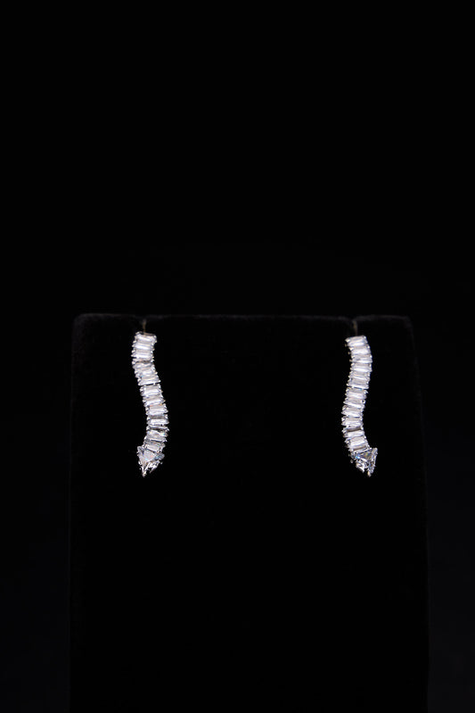 Future Ex-Wife Earrings